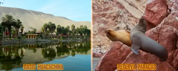 Huacachina Oasis and Seals in Paracas Reserve